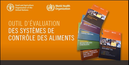 Food conrol system assessment tool video thumbnail