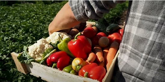 Nutrition information system video thumbnail