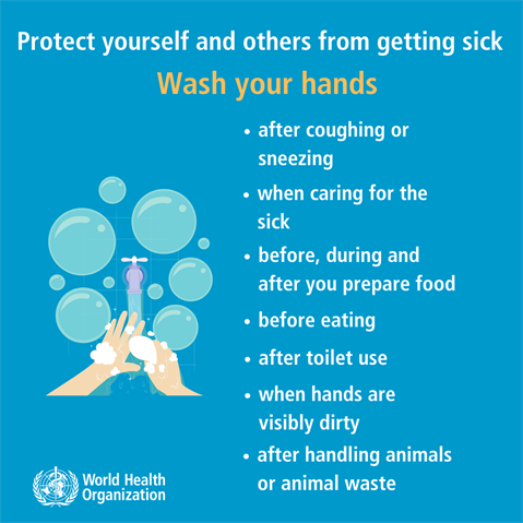 Infographic visualising the recommended advice.