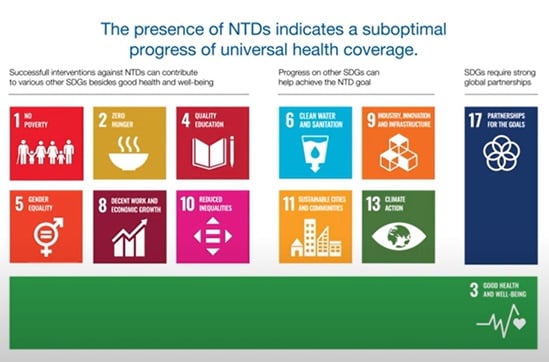 Neglected Tropical Diseases - Decadal Progress and Achievements