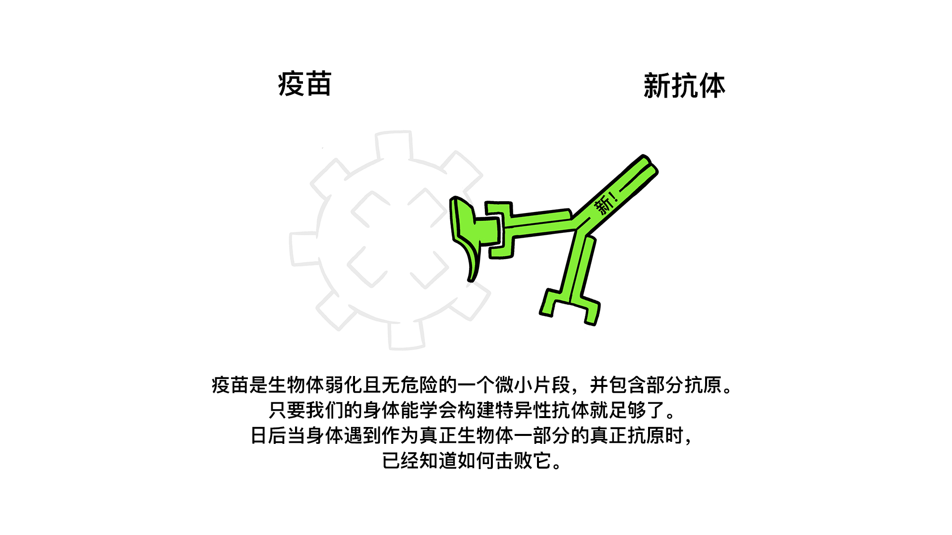图示抗体如何工作
