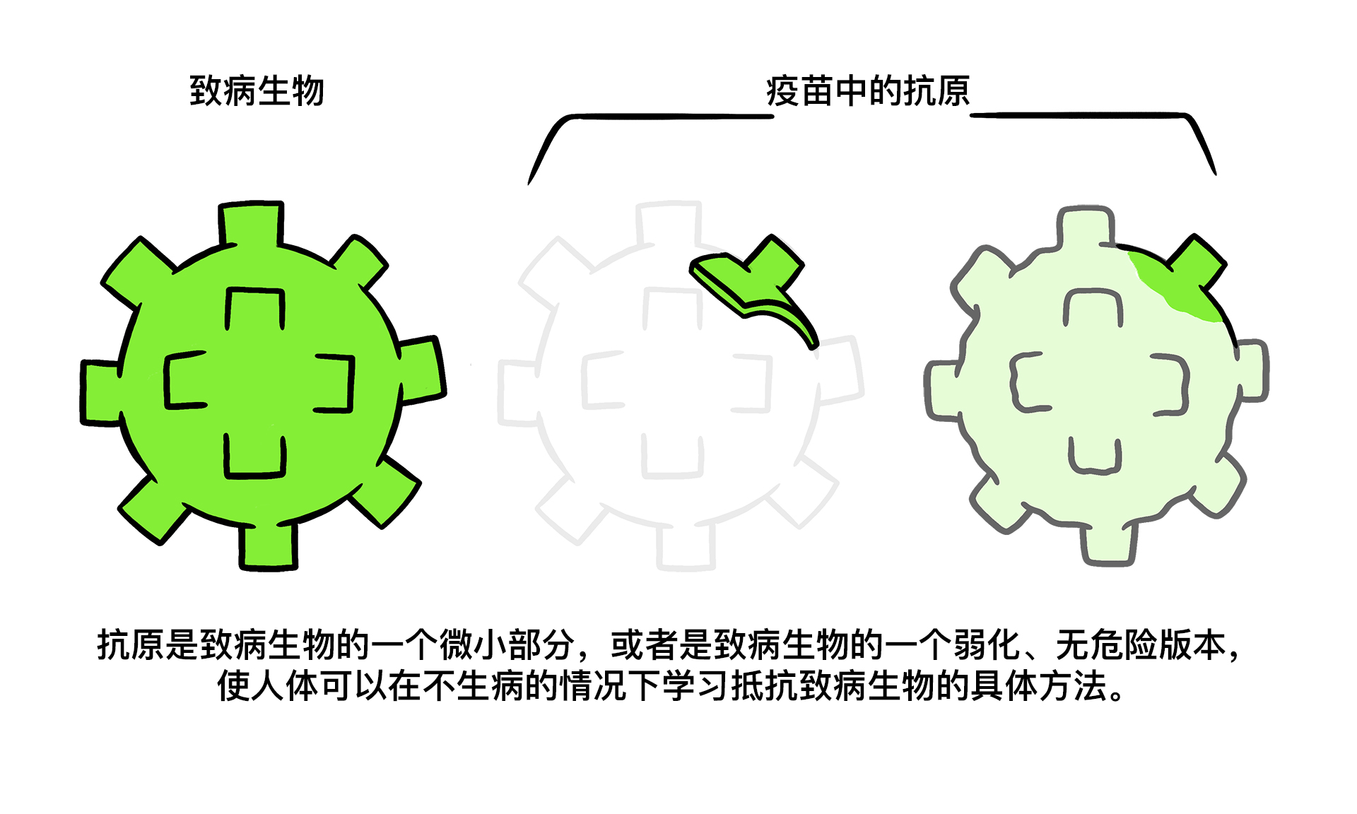 Vaccines topic 2 01 Vaccine Antigens