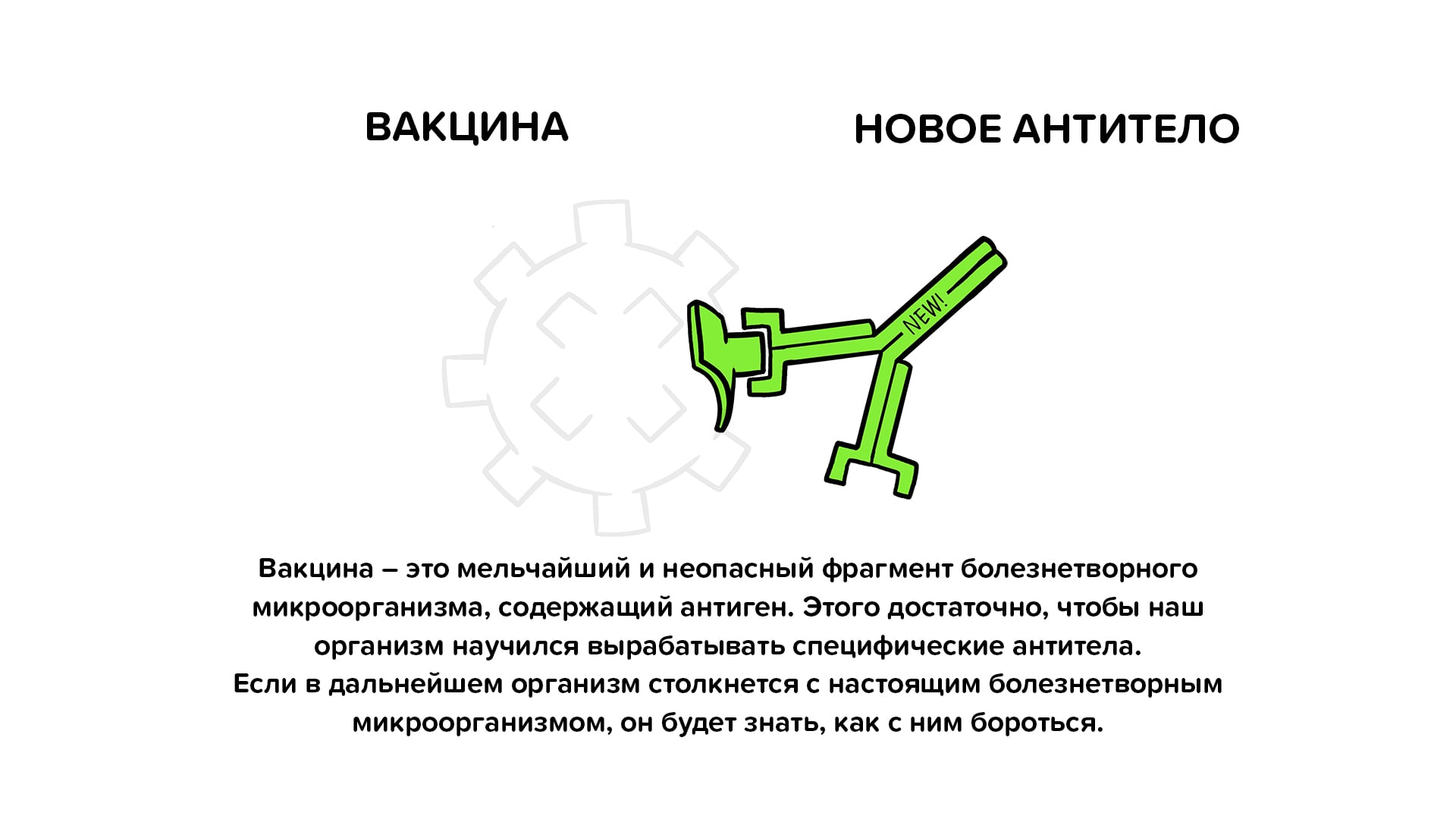 Вакцина - это мельчайший и неопасный фрагмент болезнетворного микроорганизма, содержащий антиген.